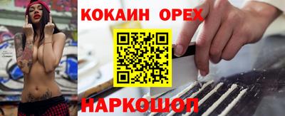 эйфоретик Кингисепп