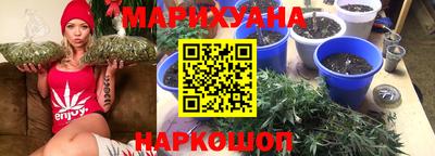 эйфоретик Кингисепп