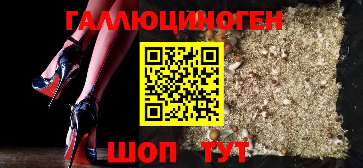Галлюциногенные грибы Cubensis Коряжма